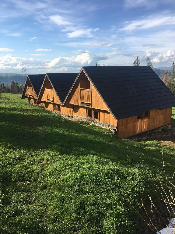 Domek Na Skarpce Zakopane Kültér fotó